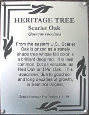 heritage_tree_plaque