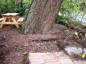 At the Seattle Audubon Society office on the southeast corner of 82nd and 35th, we see the platform remaining where the brick pillar was removed. The corner is now more open.