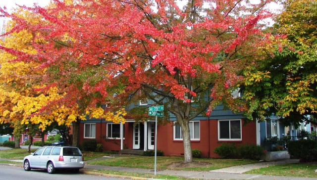 Autumn at Wedgewood Estates Apartments