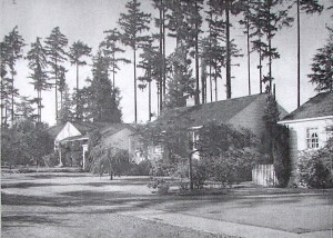 Photographer Werner Lenggenhager took this view of Wedgwood houses on NE 84th Street, looking northward, in 1953.