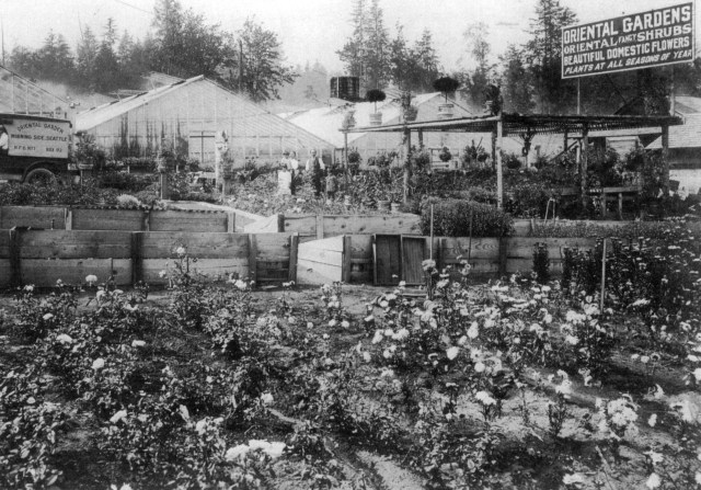 Oriental Gardens as it looked in 1916. The sign faced Ravenna Boulevard on the east side of the nursery. As yet there was no Lake City Way.