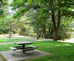 B-G Trail next to Metropolitan Market.August 2013