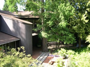 The Dexter + Chaney Software company is in the commercial building on the site of the former Oriental Gardens.