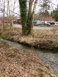 The Meadowbrook branch of Thornton Creek flows past Nathan Hale High School and sometimes overflows into the school parking lot.