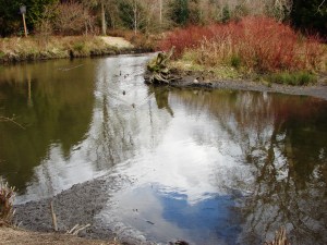 Meadowbrook Pond is located on the east side of 35th Ave NE at NE 107th Street.