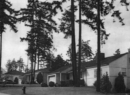 A 1953 view of NE 81st Street in the original Wedgwood emphasized its natural setting in tall trees. Photo by Werner Lenggenhager in the Seattle Public Library Historic Photos Collection.