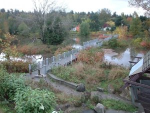 Meadowbrook Pond overview