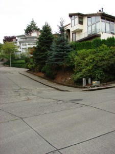 The houses near the entrance to Inverness just off of Sand Point Way NE shows how steeply the streets of the development climb, and that the houses are set up on high points.