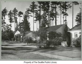 Houses on NE 84th Street in 1953, photo by Werner Lenggenhager. An amateur photographer, Leggenhager left much of his collection to the Seattle Public Library. He spoke approvingly of the Balch houses which were modest in scale and harmonious in style.