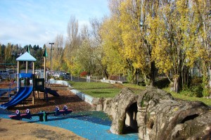 Annie's Playground on Meadowbrook Field will be accessible during the summer, by coming through the Nathan Hale High School parking lot (in background.)  The poplar trees lining the creek will be removed to widen the channel and create meanders.