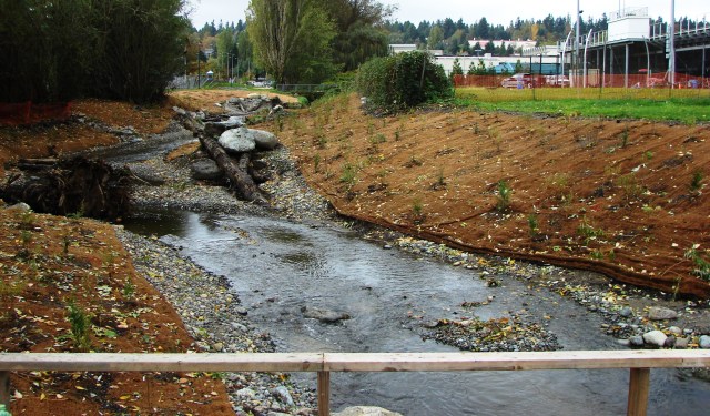 From 35th Ave NE looking westward toward Nathan Hale High School, we see the improved channel for the South Branch of Thornton Creek.  The creek channel has been widened and meanders created to slow the flow of water and improve habitat for fish.