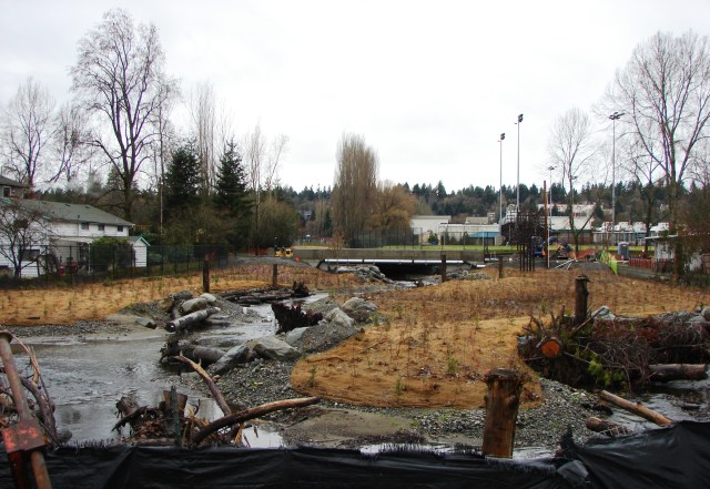 From the east side of 35th Ave NE we see the flood plain which is being created for The Confluence of Thornton Creek.  In the center of the photo we see the new bridge-like structure of 35th Ave NE with the South Branch of Thornton Creek flowing underneath.  In the background is Nathan Hale High School.  The white house at left is at 10706 35th Ave NE.