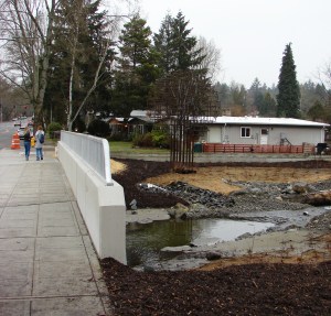 Pedestrians enjoy the new sidewalk and overview of the flood plain for Thornton Creek at Meadowbrook.