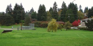 In the 1920's there were houses on what is now Dahl Field at about the site of the skate park.
