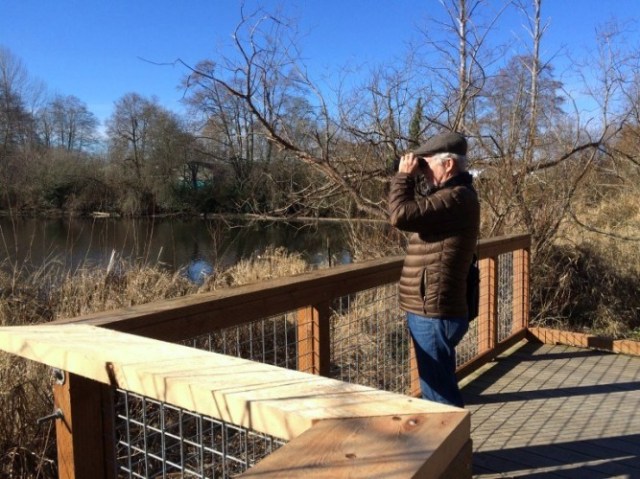 Yesler Swamp viewing platform