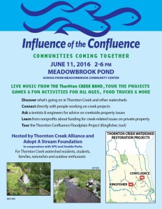 Confluence festival poster.June 11 2016