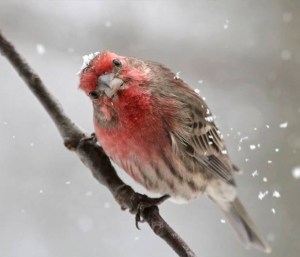 And you are counting me because.......?