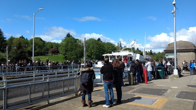 Ballard Locks watching the boats.May 6 2017