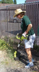 Park Picnic Work WCC trustee Gretchen Bear