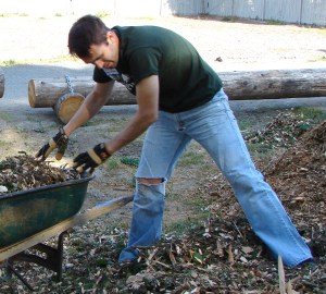 Park work shoveling wood chips